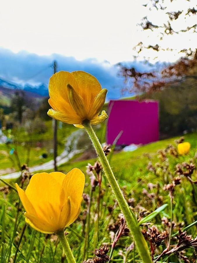 The View Διαμέρισμα Bijelo Polje Εξωτερικό φωτογραφία
